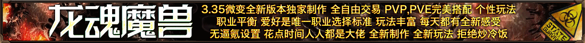 龙魂魔兽